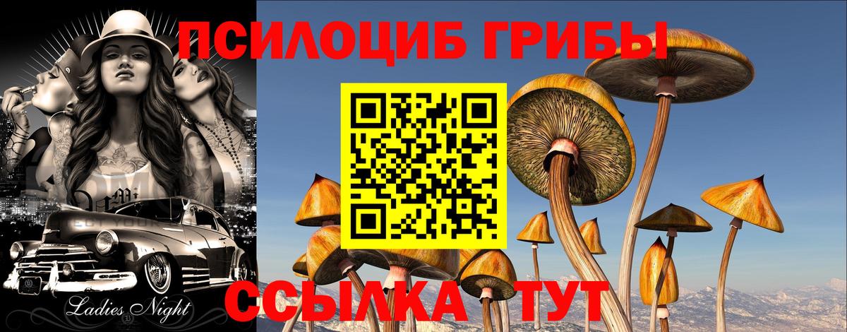 Галлюциногенные грибы MAGIC MUSHROOMS  Вход с VPN  Галлюциногенные грибы мухоморы  Усть-Илимск 